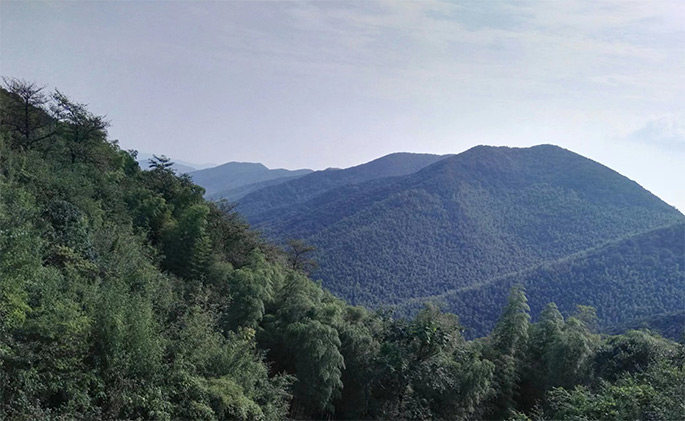 ���d���ξW(w��ng)վ���O(sh��)