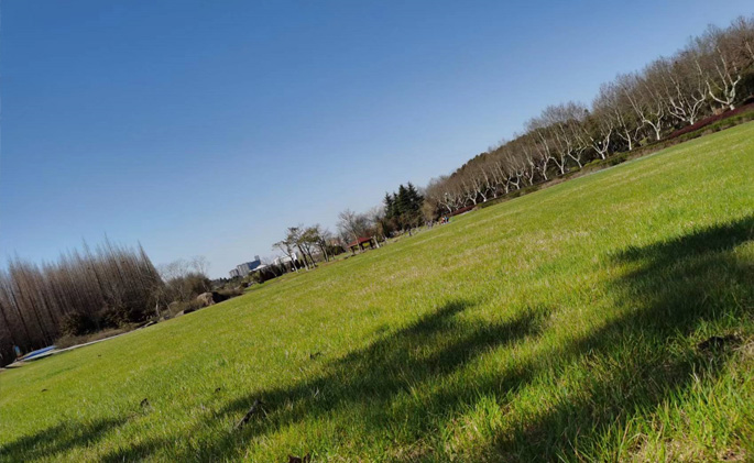 ���d���ξW(w��ng)վ���O(sh��)